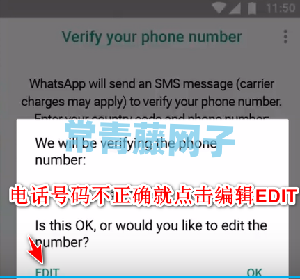 whatsapp文件为什么下载不了的简单介绍